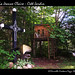 Jeanne Sommers Photo 9