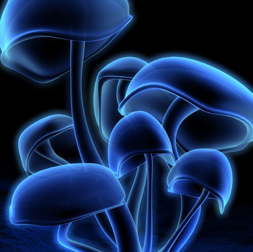 Giang Hoang Photo 32