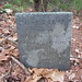 Joseph Matteson Photo 8