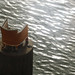 Christine Gendron Photo 11