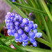 Janice White Photo 11