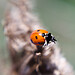 Jason Kinder Photo 14