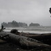 Teresa Stack Photo 5
