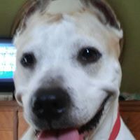 Terra Miller Photo 10