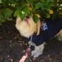 Dorothy Griggs Photo 13