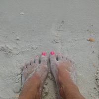 Donna Wagner Photo 34