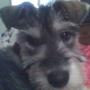 Michelle Delarosa Photo 19