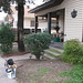 Paula Burleson Photo 10