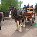 Archie Rose Photo 10