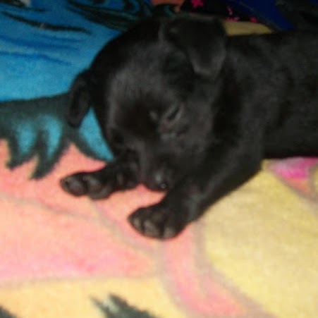 Minerva Leon Photo 31
