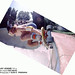 Jay Adams Photo 51