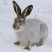Jack Winters Photo 12
