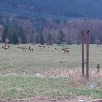 Fred Gardner Photo 31