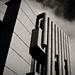 Roger Stevens Photo 37
