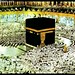 Afzal Muhammad Photo 16