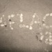 Amy Crain Photo 22