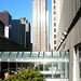David Trammel Photo 11