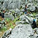 Da Ngo Photo 8