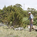 Ray Connors Photo 18