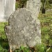 John Walden Photo 29