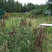 Victoria Bramble Photo 7