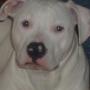 Lisa Marcum Photo 18