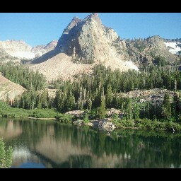 David Allred Photo 9