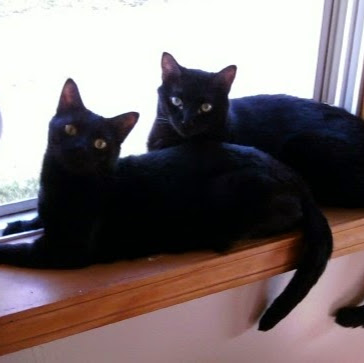 Debra Workman Photo 25