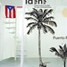 Radames Torres Photo 13