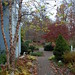 Cheryl Birch Photo 32