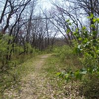 Michael Schoonover Photo 29
