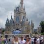 Debra Casey Photo 18