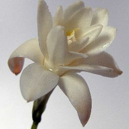 Maria Rosado Photo 11