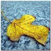 Jin Lin Photo 41