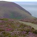 Heather Land Photo 14