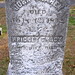 Tracy Dougherty Photo 8