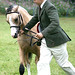 Joy Bolton Photo 9