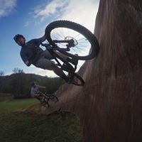 David Coleman Photo 36