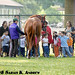 Anna House Photo 28