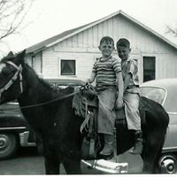Harry Ledbetter Photo 9