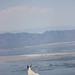 Willard Short Photo 2