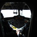 Heather Timms Photo 20