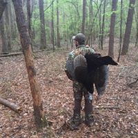 Phillip Hays Photo 24