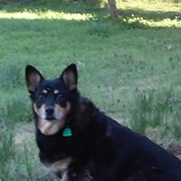 Nancy Keim Photo 14