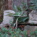 Rodney Rich Photo 36