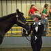 Zeb English Photo 8