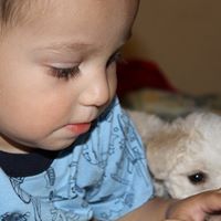 Isaiah Ruiz Photo 15