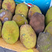 Jack Fruits Photo 3