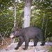 Tirrell North Photo 7