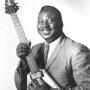 Albert King Photo 23